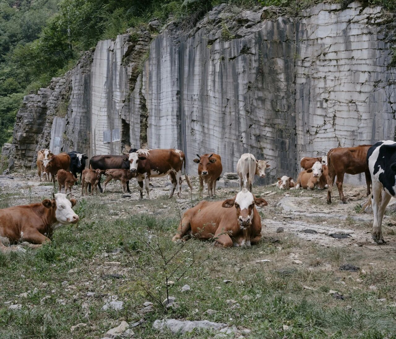 2a8cabb30cef5533453cb01a4740ab46