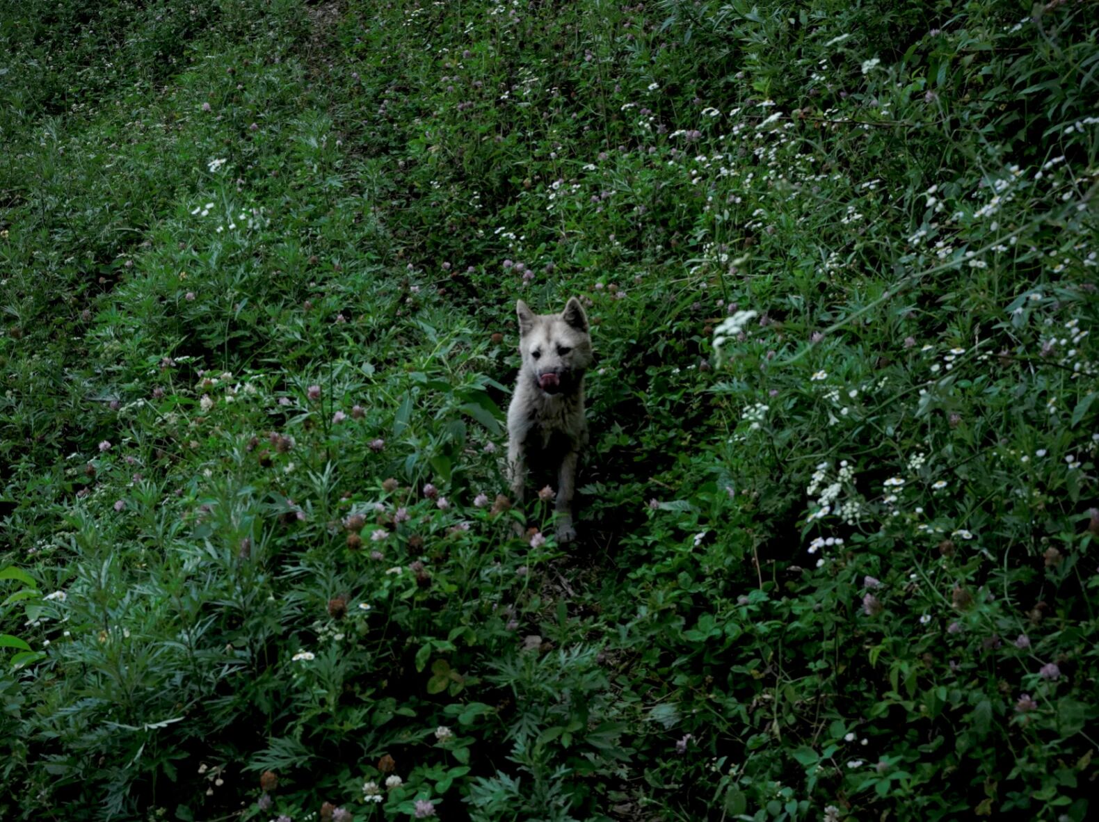 32b12e4643f07b028259c09b02c66575