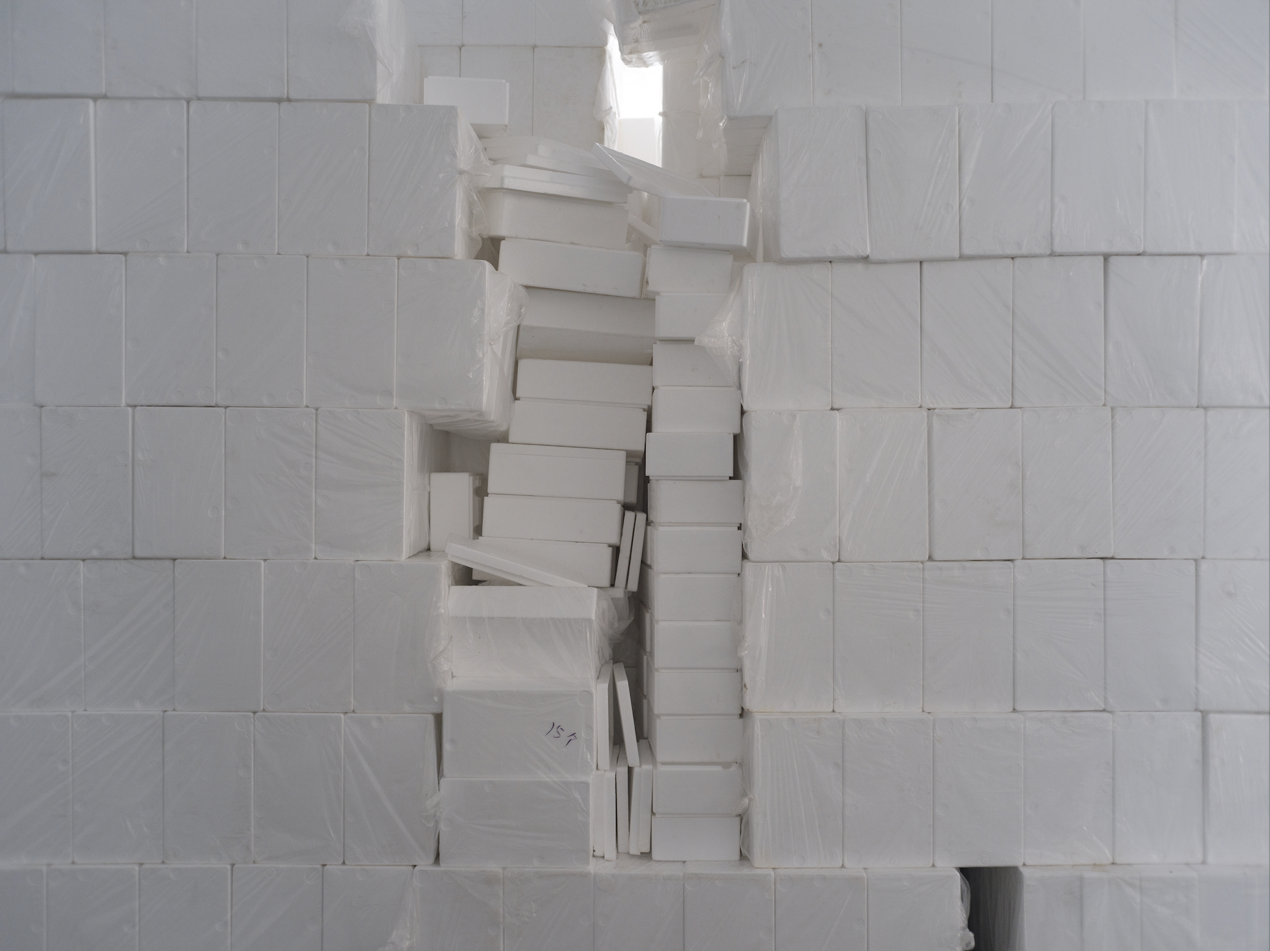 截屏2025-10-24 下午4.36.44