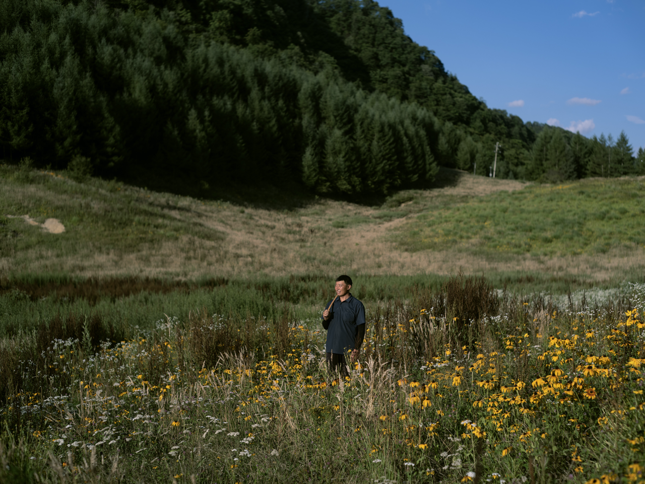 af1b26de2f6d3f1f9de0bd5c03ef6e82