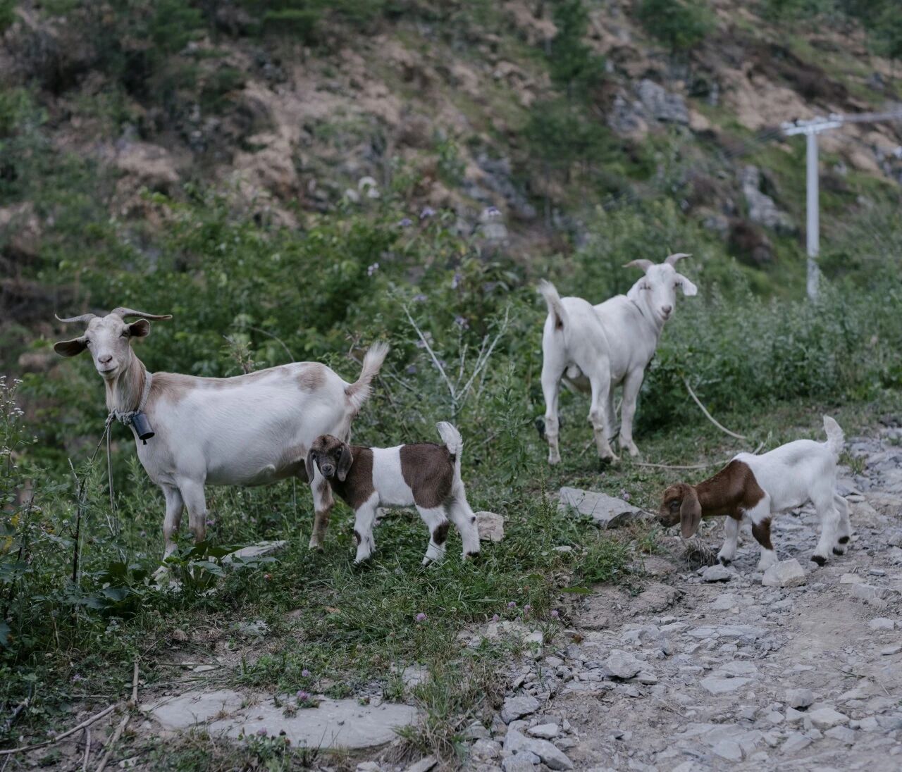 48202cc870f03c9f525859e30a0b8a30