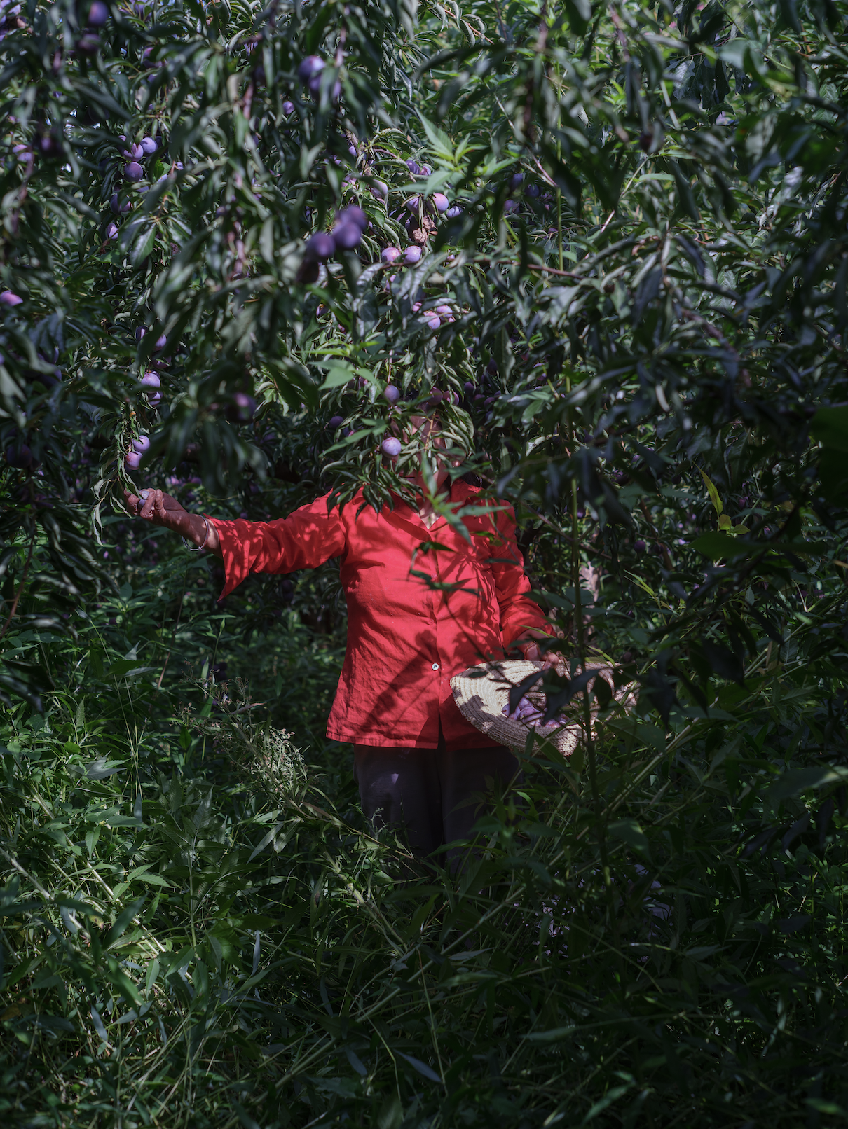 截屏2025-10-24 下午4.37.17