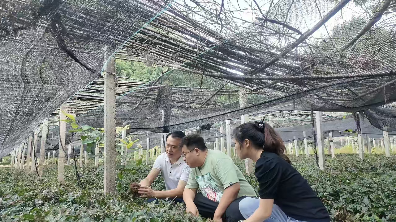 f82637fa85ece9e3c6a1079696a1b9a3