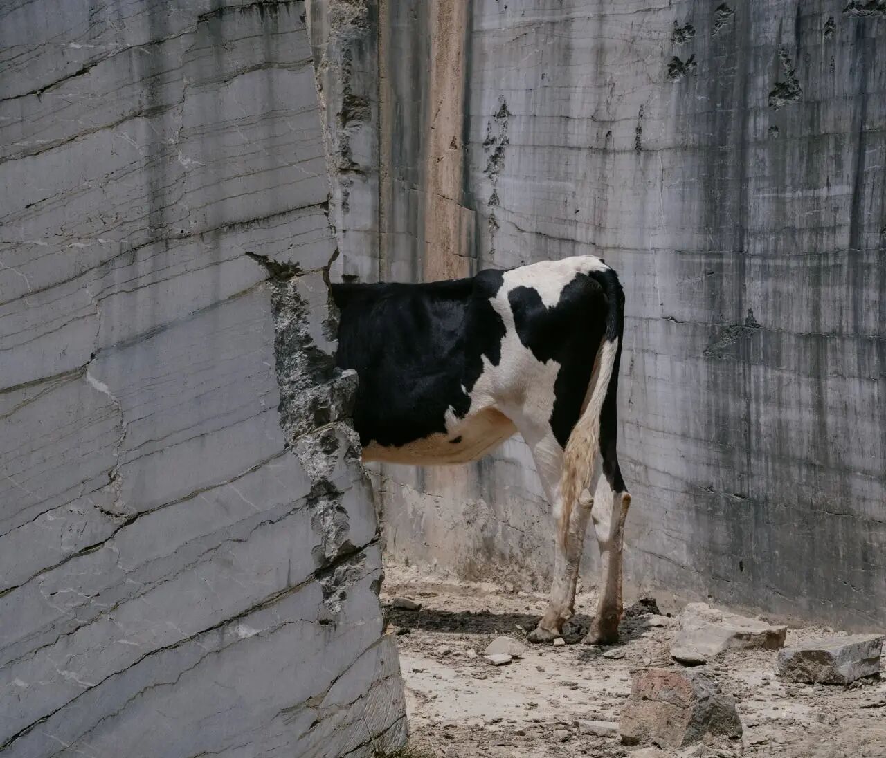 c04b737de826a3a3a5db1cc162b4fccf