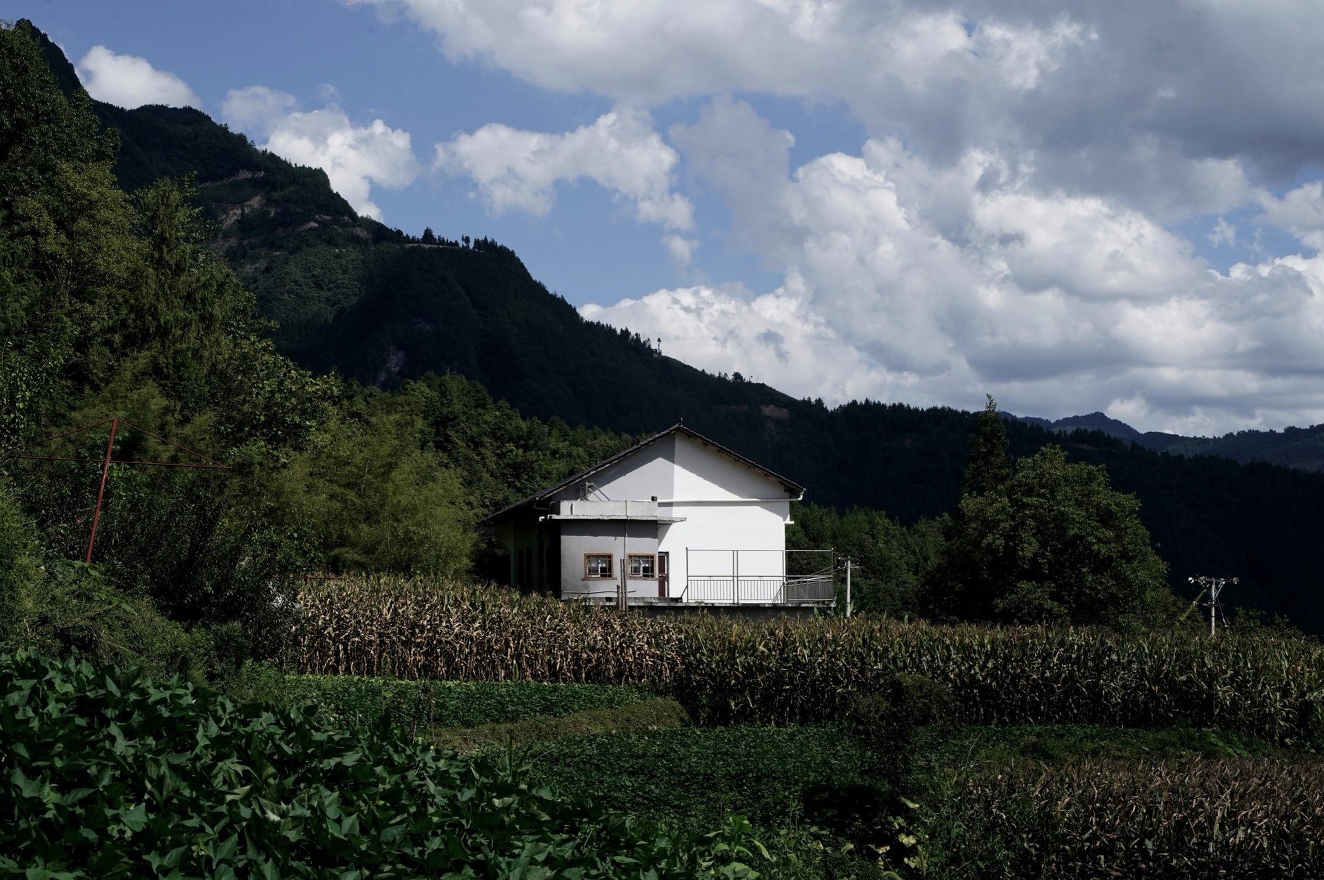 aa5aa13d6a316a42710d327809c6001b