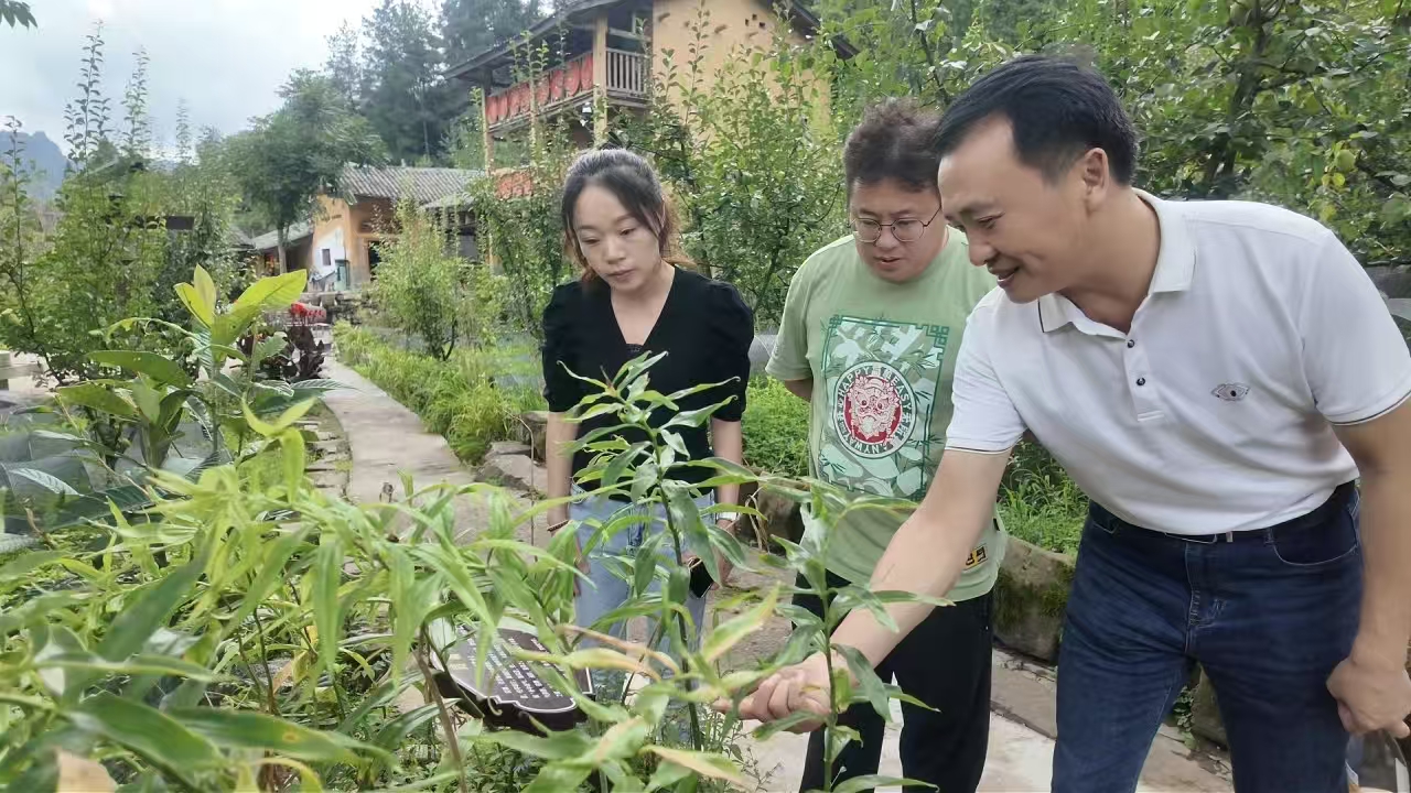 a75e237a7a8c0c5736b99abd6d155dd0