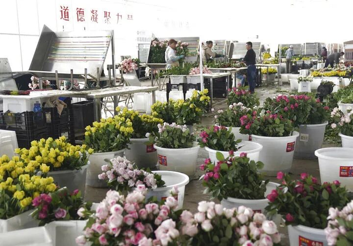 239d7ffdad0c823851d299f22f7682ad