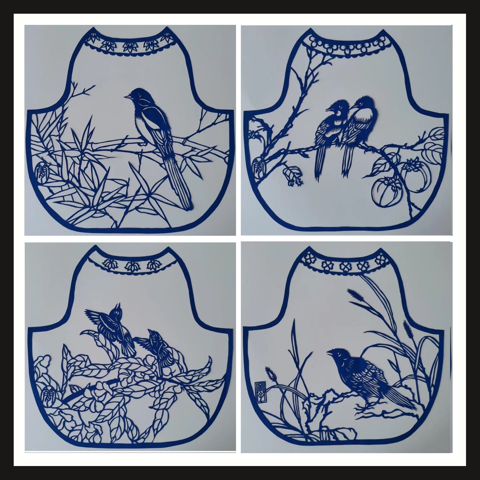 d76041a81565f006a053413bee94cf51