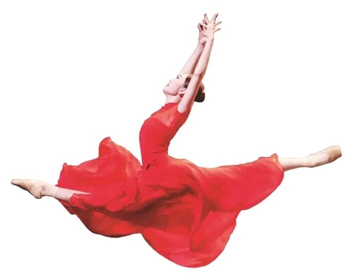 a2f56f427299d073d93e3d903251bce0