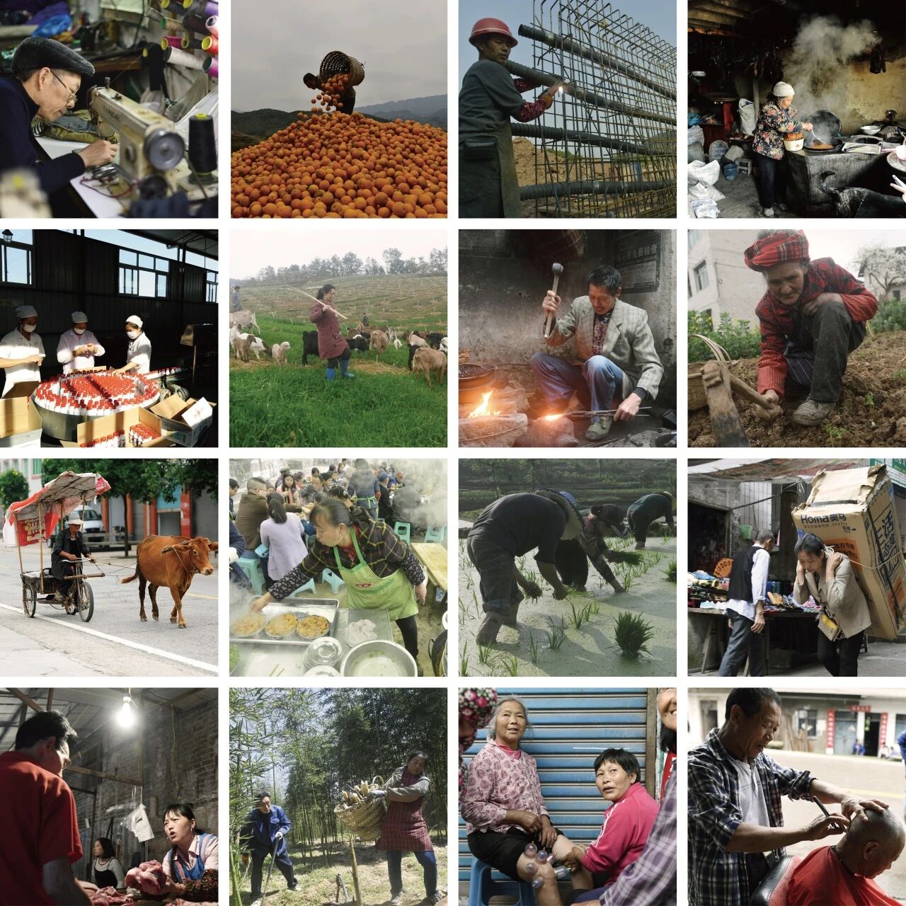 23e74961549140806761640e60c2e287