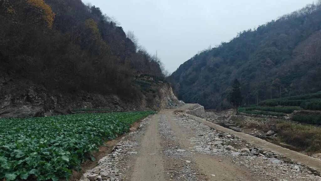 9cbf984cbcbef9af6bed535daa140b8b