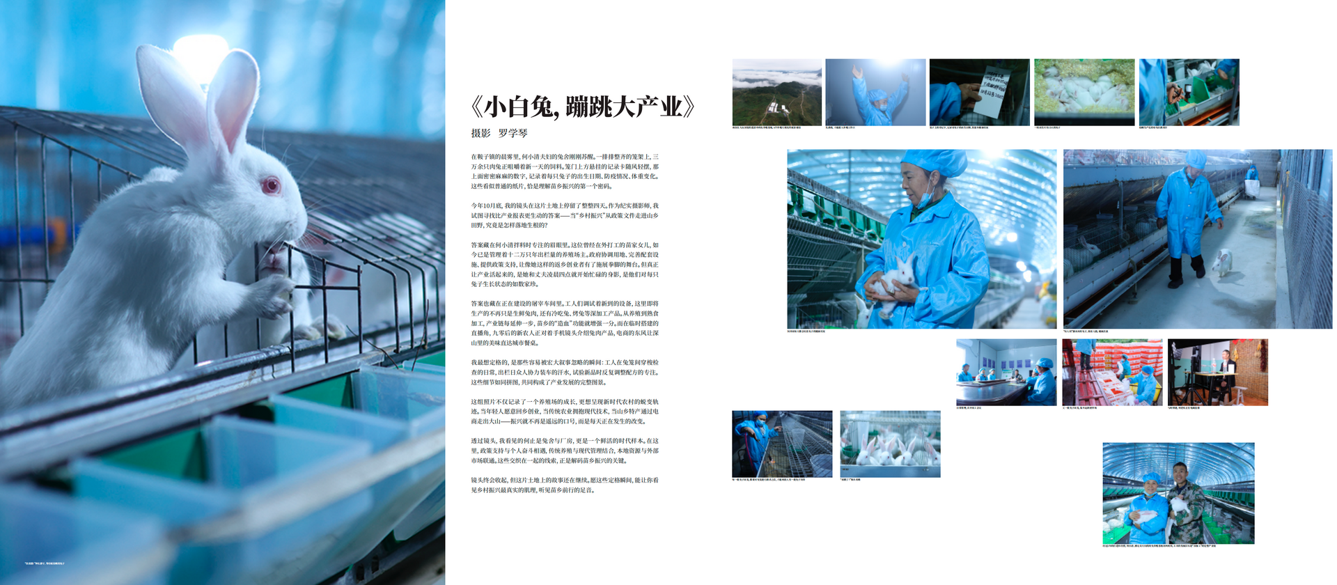 f495b8ed739fe1d23931f7ab369ff40