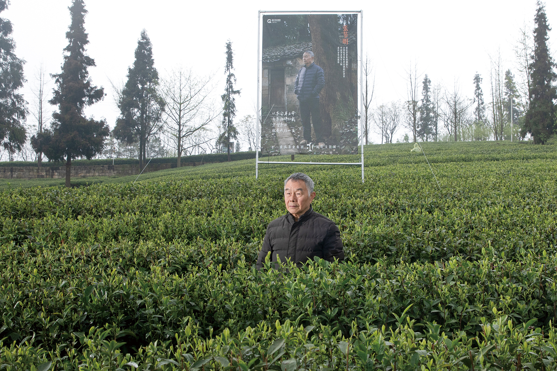 01《茶山的主人》周红强摄