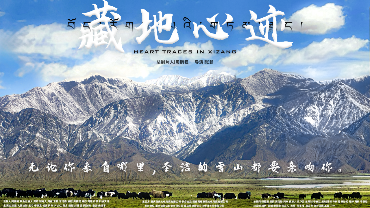 df4fbcbcf1738dc2bbbb289eaae8ef1d