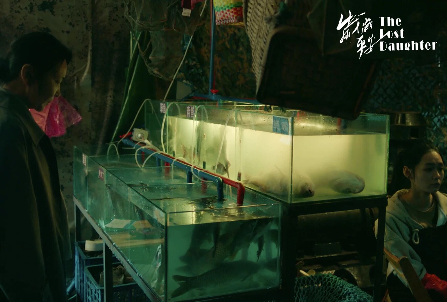 7892463489bc1272bc8fe4feec7f1633