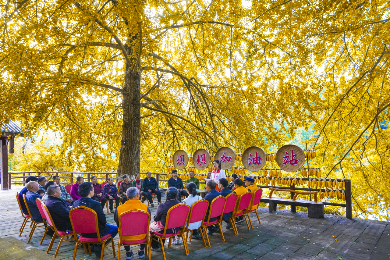 e11b30ab177f2435af25b96d635e1e0b